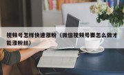 视频号怎样快速涨粉（微信视频号要怎么做才能涨粉丝）