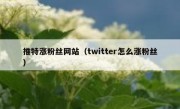 推特涨粉丝网站（twitter怎么涨粉丝）