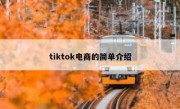 tiktok电商的简单介绍