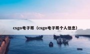 csgo电子哥（csgo电子哥个人信息）