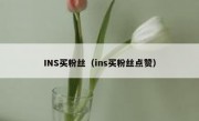 INS买粉丝（ins买粉丝点赞）