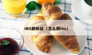 INS刷粉丝（怎么刷ins）