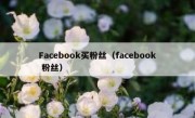 Facebook买粉丝（facebook 粉丝）