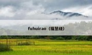 fuhuirao（福慧绕）