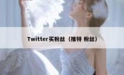 Twitter买粉丝（推特 粉丝）