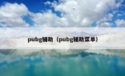 pubg辅助（pubg辅助菜单）