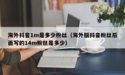 海外抖音1m是多少粉丝（海外版抖音粉丝后面写的14m粉丝是多少）