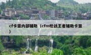 cf卡盟内部辅助（cfm枪战王者辅助卡盟）