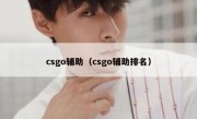 csgo辅助（csgo辅助排名）