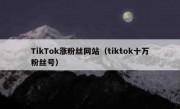 TikTok涨粉丝网站（tiktok十万粉丝号）