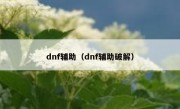 dnf辅助（dnf辅助破解）