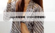 csgo自瞄辅助（CSGO透视辅助）