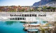 facebook买播放量网站（facebook流量购买）