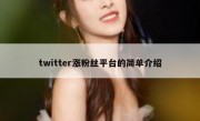 twitter涨粉丝平台的简单介绍