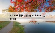 TikTok涨粉丝网站（tiktok1亿粉丝）