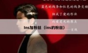 Ins加粉丝（ins的粉丝）