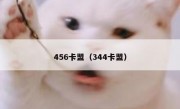 456卡盟（344卡盟）