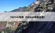 TikTok电商（tiktok电商运营）