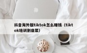 抖音海外版tiktok怎么赚钱（tiktok培训割韭菜）