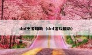 dnf王者辅助（dnf游戏辅助）