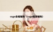 csgo自瞄辅助（csgo瞄准辅助）