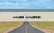 pubg辅助（pubg辅助器）