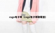 csgo电子哥（csgo电子哥倒霉蛋）