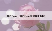 福汇fxcm（福汇fxcm可以看黄金吗）