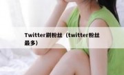 Twitter刷粉丝（twitter粉丝最多）