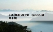 pubg辅助卡盟平台（pubglite辅助卡盟）