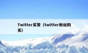 Twitter买赞（twitter粉丝购买）