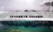 TikTok自助下单（tiktok接单）