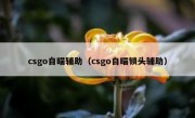 csgo自瞄辅助（csgo自瞄锁头辅助）