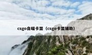 csgo自瞄卡盟（csgo卡盟辅助）