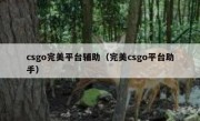 csgo完美平台辅助（完美csgo平台助手）