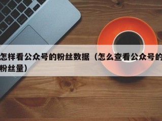 怎样看公众号的粉丝数据（怎么查看公众号的粉丝量）