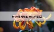 fxcm官网地址（fxcm福汇）