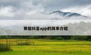 黄版抖音app的简单介绍