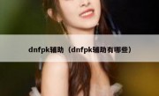 dnfpk辅助（dnfpk辅助有哪些）