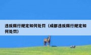 违反限行规定如何处罚（成都违反限行规定如何处罚）