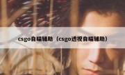 csgo自瞄辅助（csgo透视自瞄辅助）