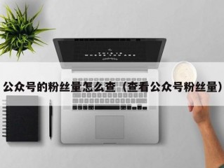 公众号的粉丝量怎么查（查看公众号粉丝量）