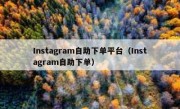 Instagram自助下单平台（Instagram自助下单）