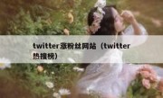 twitter涨粉丝网站（twitter热搜榜）