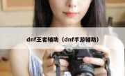 dnf王者辅助（dnf手游辅助）