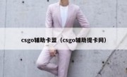 csgo辅助卡盟（csgo辅助提卡网）