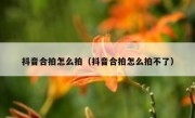 抖音合拍怎么拍（抖音合拍怎么拍不了）