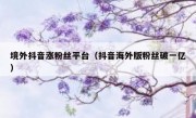 境外抖音涨粉丝平台（抖音海外版粉丝破一亿）