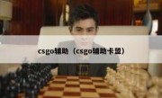 csgo辅助（csgo辅助卡盟）