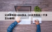 公众号粉丝1000多么（公众号粉丝一千多怎么赚钱）